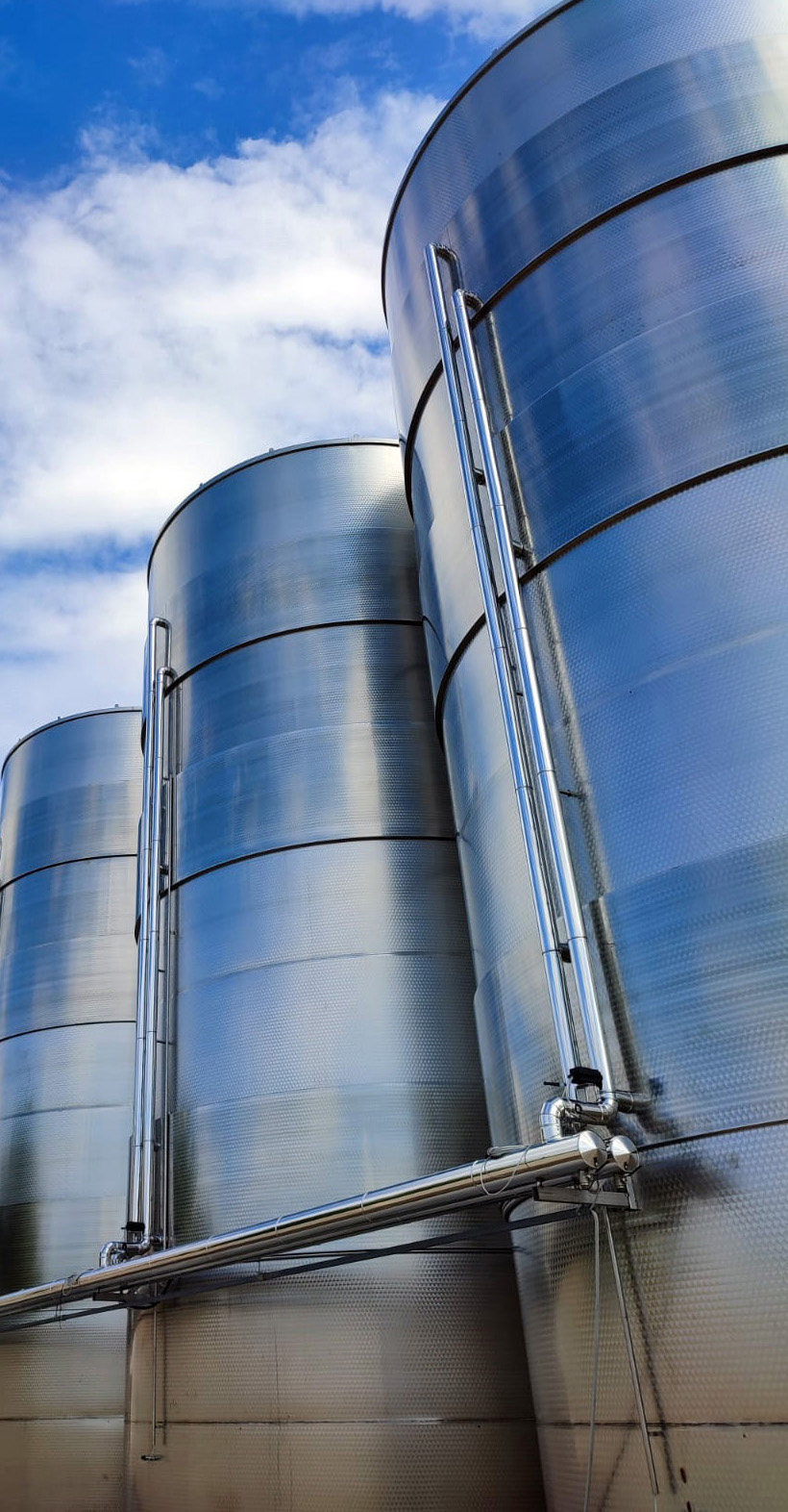 EuroImpianti, Vinificazione