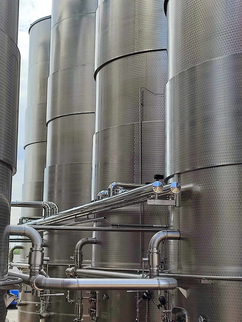 EuroImpianti, Vinificazione